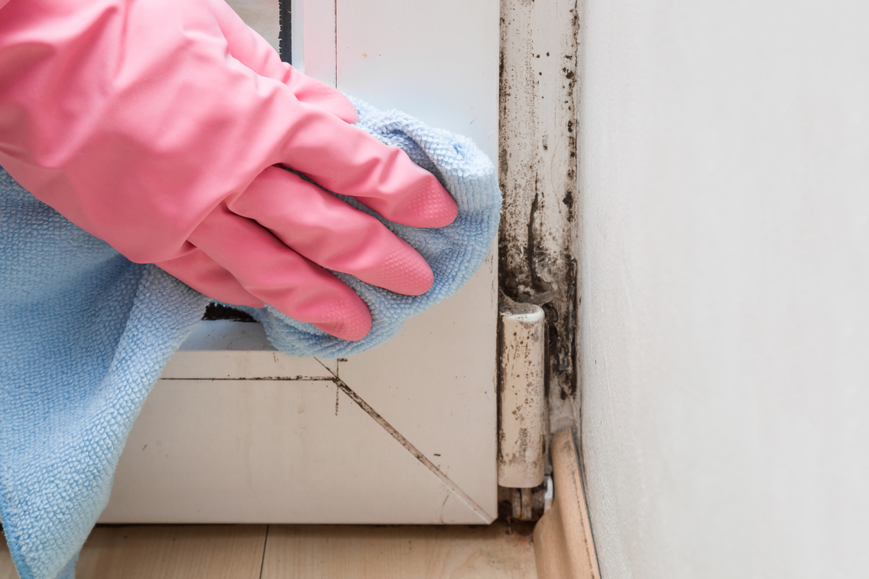 A close-up shot of hands with rubber gloves trying to remove mold in a house.