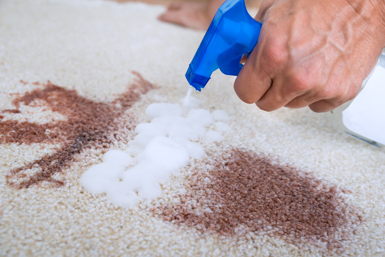 man-cleaning-stains-on-carpet