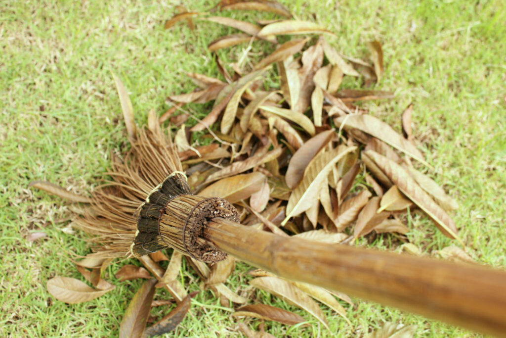 Set up a Cleaning Schedule for the Fall