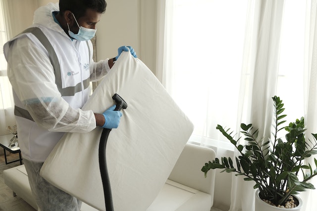 Cleaning service worker vacuuming the sofa.
