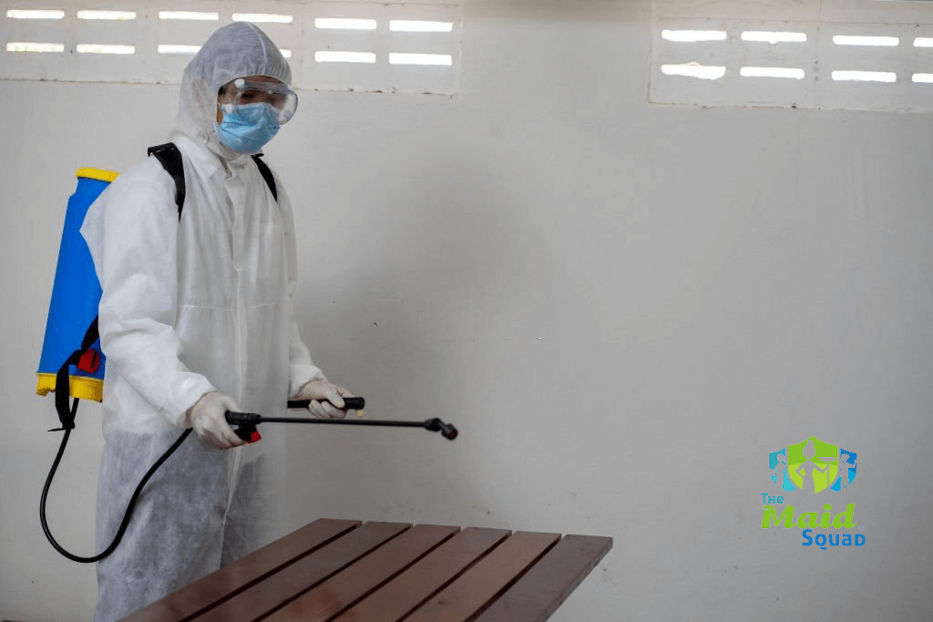 Applications of Electrostatic Cleaning