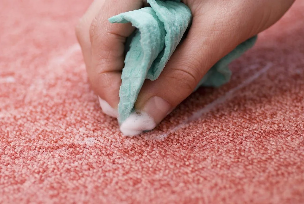 Using Household Items to Clean Your Carpet