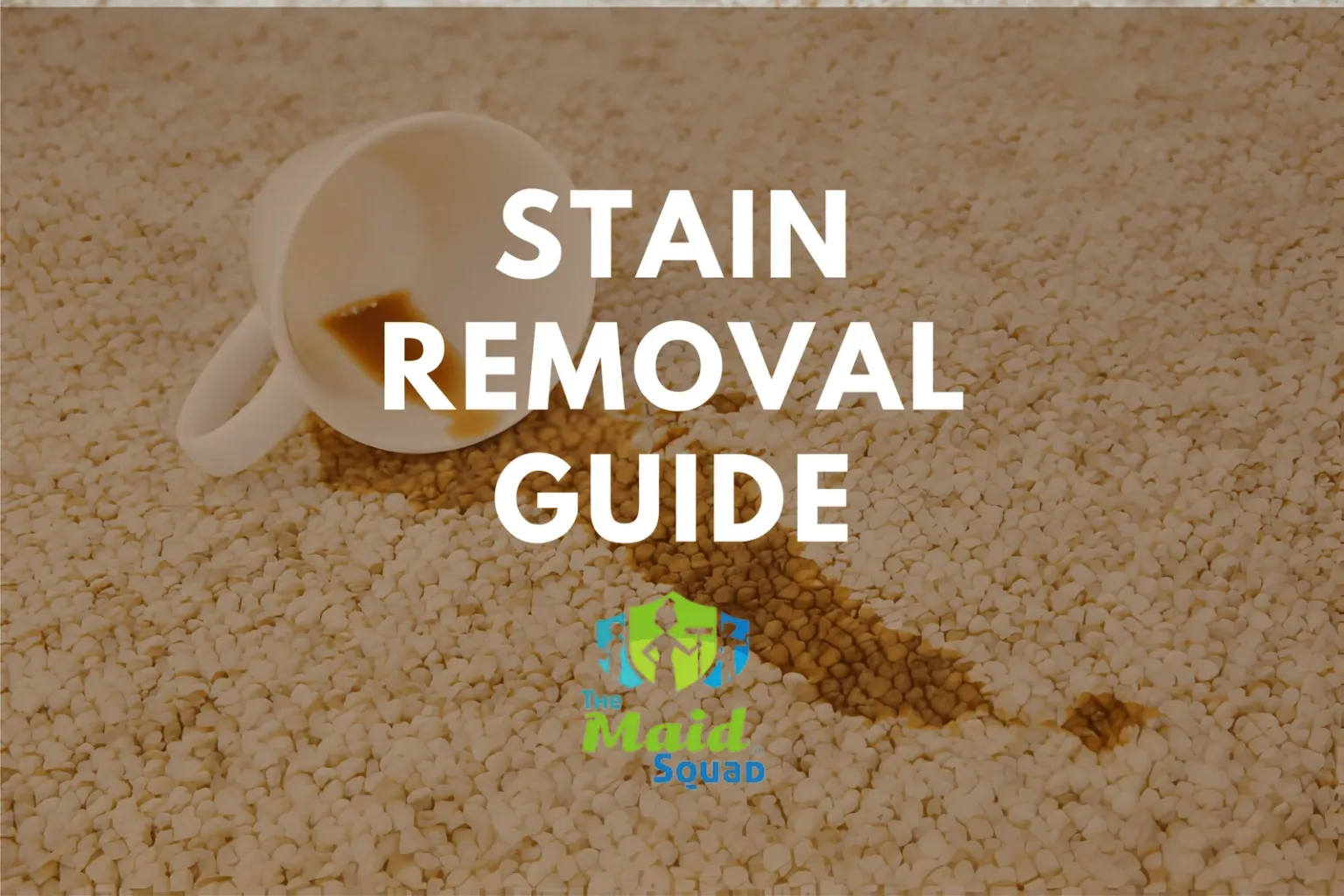 Detailed Stain Removal Guide