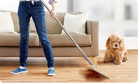 Rounded Rectangle 21 (1)