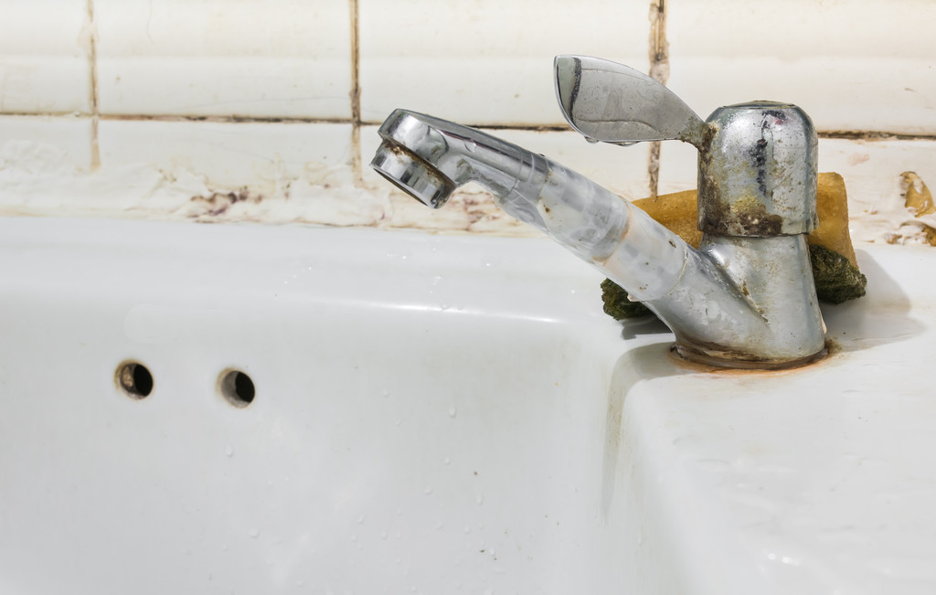 How to Remove Mold from Bathroom Ceiling